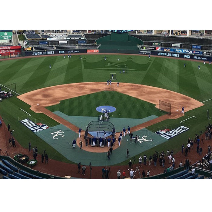 Aer-Flo® Sports BP Zone® Premium Infield Protector BPINFIELDP