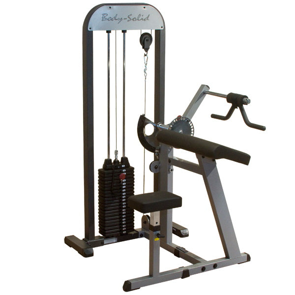 Body-Solid PRO-Select Biceps & Triceps Machine GCBT-STK