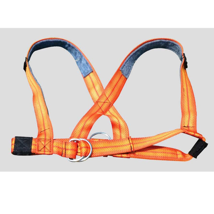 Fisher Athletic Harness with Metal Clip HAR01