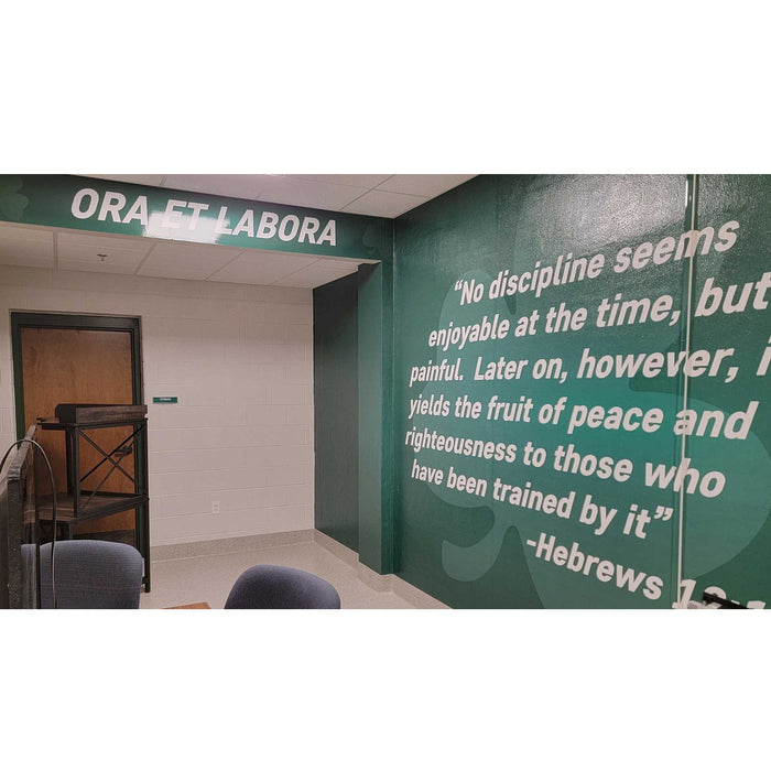 Fisher Athletic Wall Graphics for Rough Surfaces DPWALLROUGH