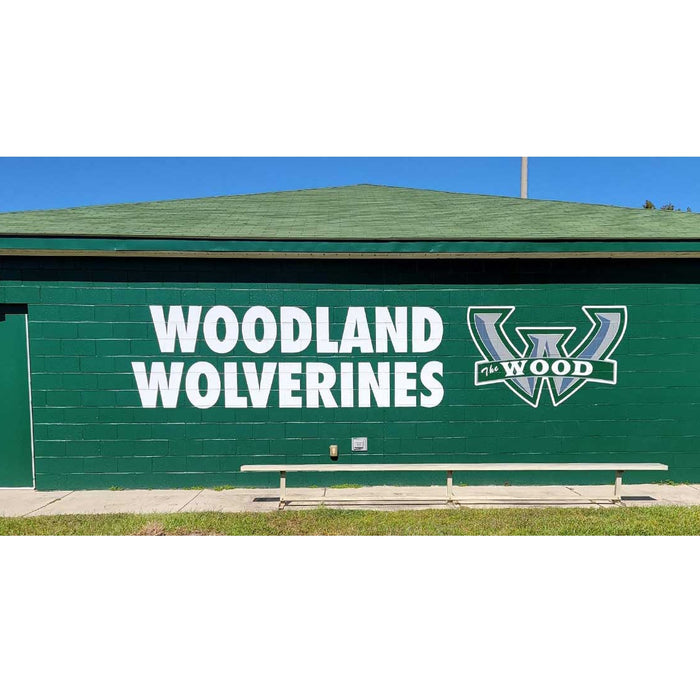 Fisher Athletic Wall Graphics for Rough Surfaces DPWALLROUGH