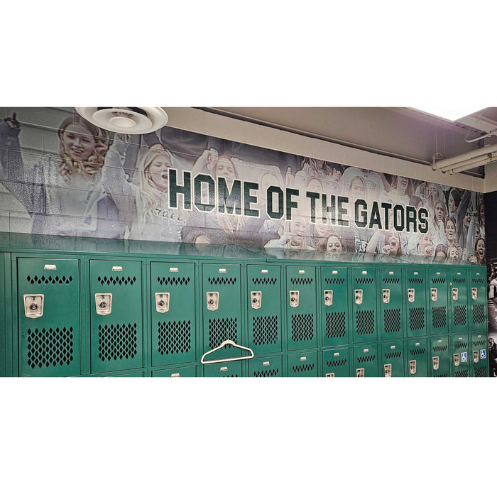 Fisher Athletic Wall Graphics for Rough Surfaces DPWALLROUGH