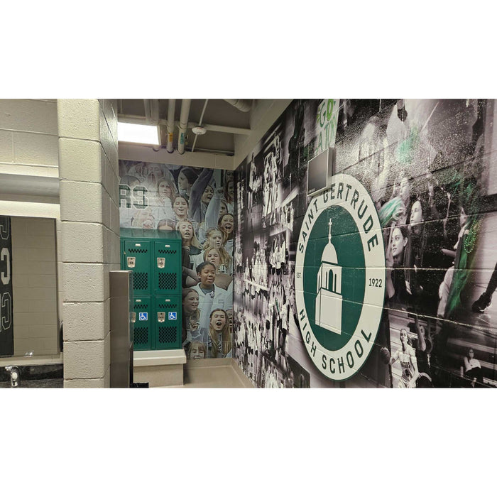 Fisher Athletic Wall Graphics for Rough Surfaces DPWALLROUGH