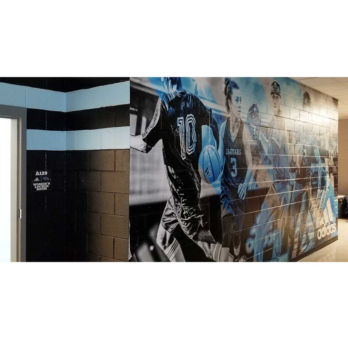 Fisher Athletic Wall Graphics for Rough Surfaces DPWALLROUGH