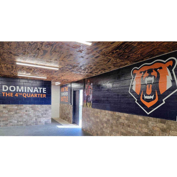 Fisher Athletic Wall Graphics for Rough Surfaces DPWALLROUGH