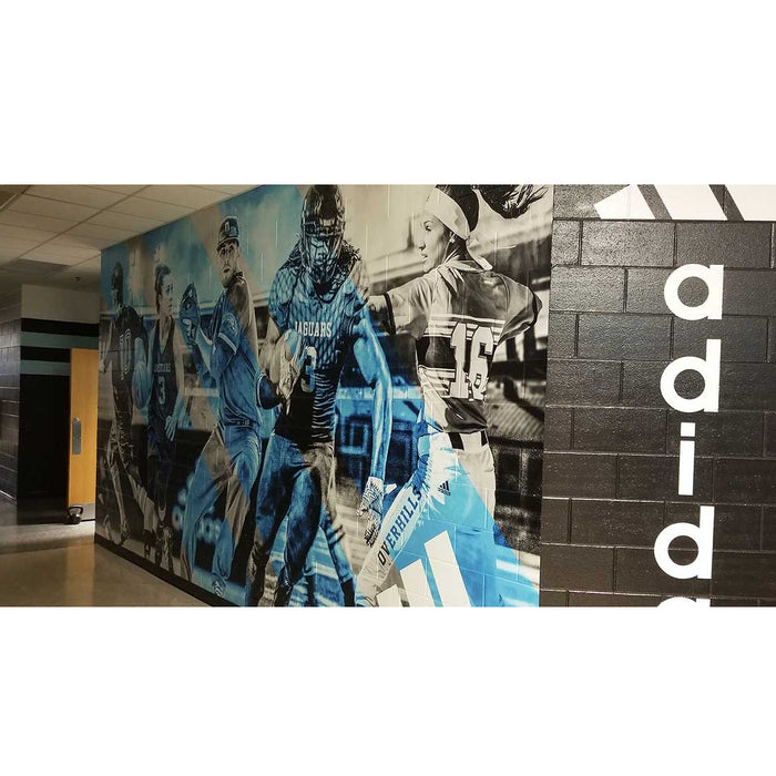 Fisher Athletic Wall Graphics for Rough Surfaces DPWALLROUGH