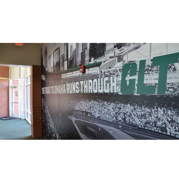 Fisher Athletic Wall Graphics for Smooth Surfaces DPWALLSMOOTH
