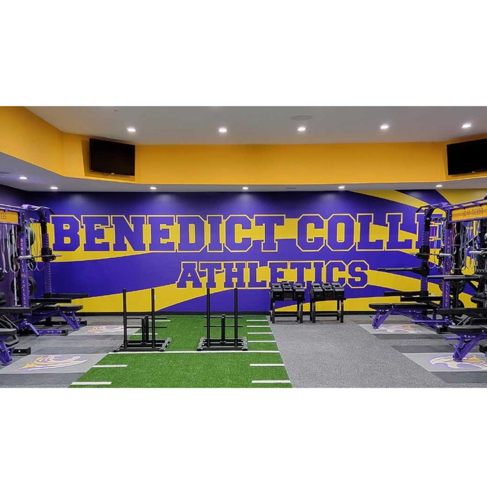 Fisher Athletic Wall Graphics for Smooth Surfaces DPWALLSMOOTH